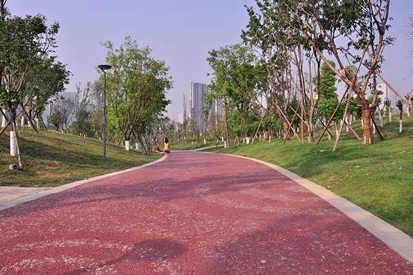 锦城绿道-桂溪公园荧光步道